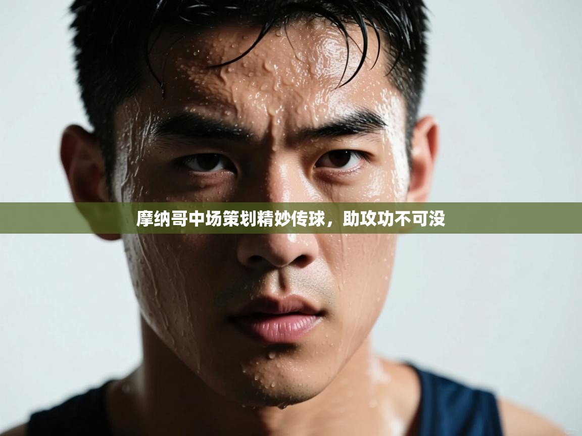 开云体育VIP权益说明-摩纳哥中场策划精妙传球,助攻功不可没 第1张