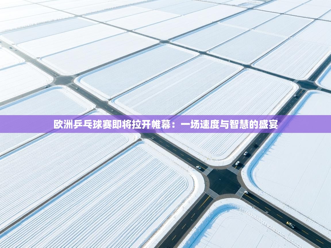 云开体育官网入口-欧洲乒乓球赛即将拉开帷幕:一场速度与智慧的盛宴 第4张